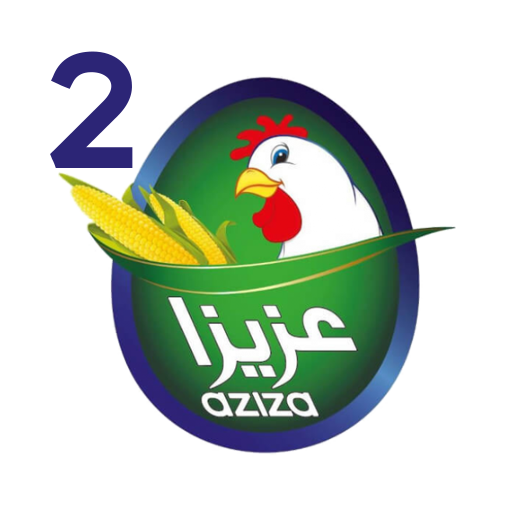 Aziza Project 2