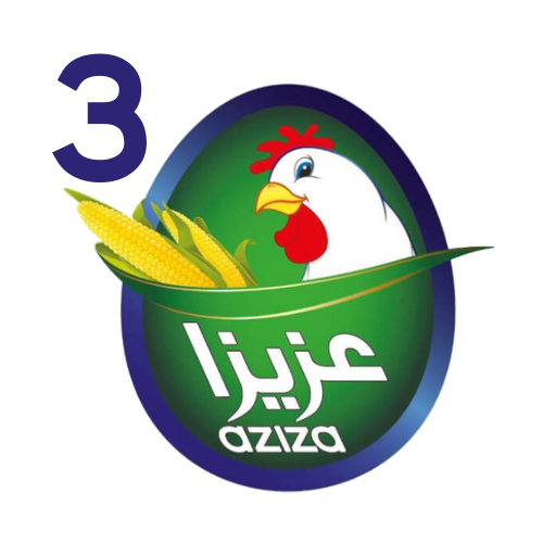Aziza Project 3