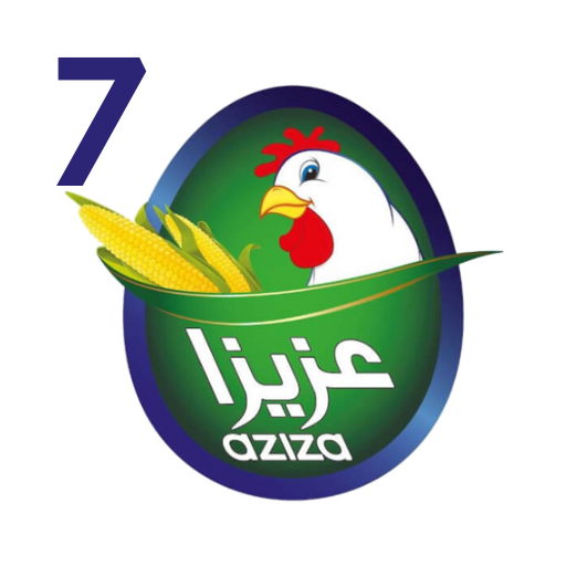 Aziza Project 7
