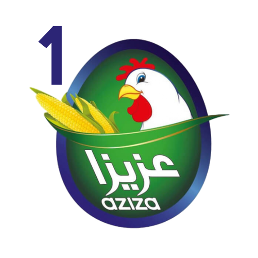 Cropped AzizaLogo 1